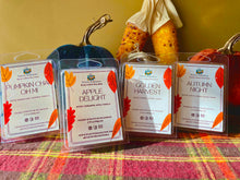 Load image into Gallery viewer, Fall Wax Melt Collection Set